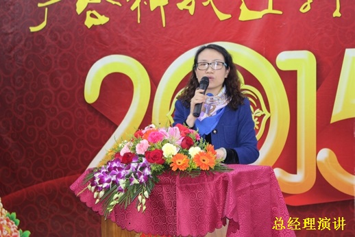 2015年大发国际科技迎春晚宴